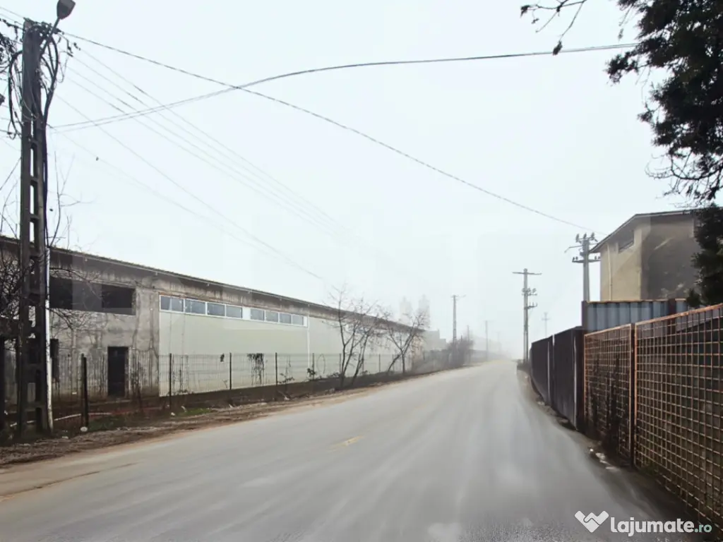 Hală Industrială Mare | 1.250 mp | Acces DN71 | Uși Indus