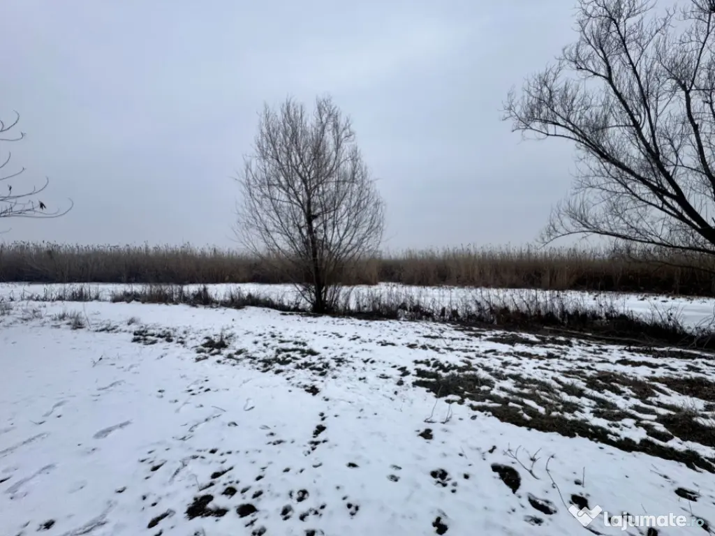 Teren 887mp cu casa pe malul Lacului Snagov | Santu Floresti 