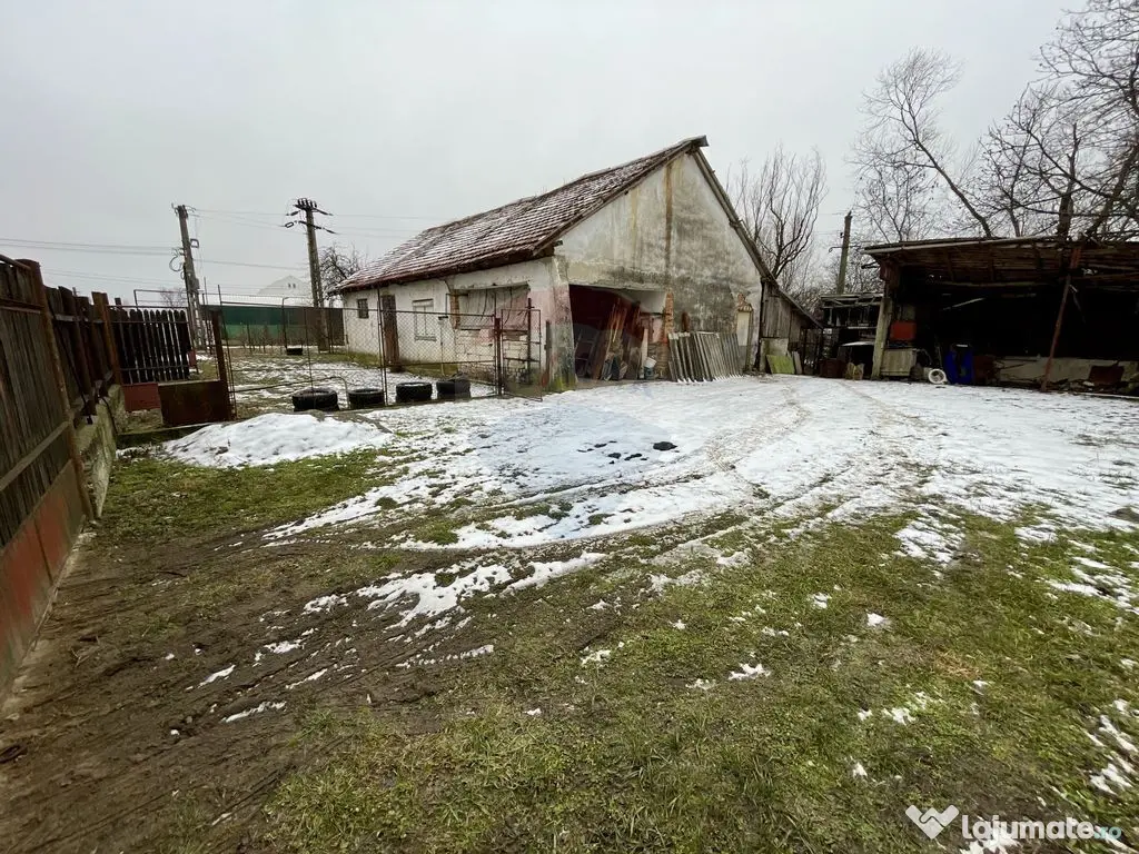 Teren intravilan Nedelea: 1247 mp cu deschidere de 61 ml 