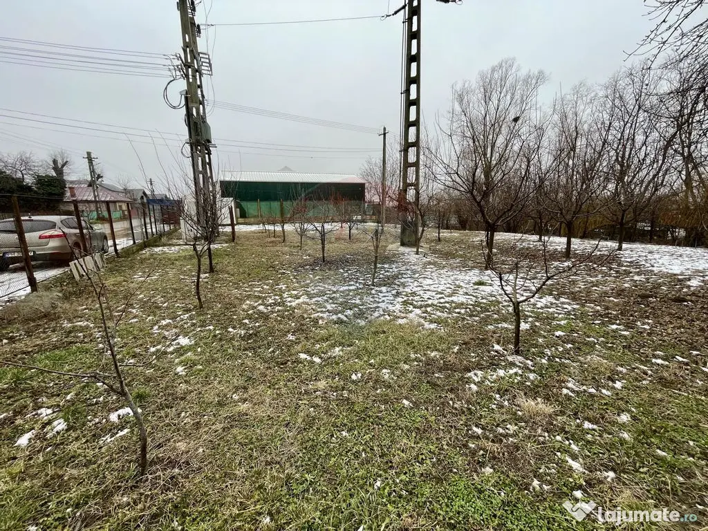 Teren intravilan Nedelea: 1247 mp cu deschidere de 61 ml 