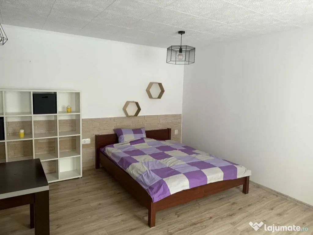 Apartament 1 camera Centru 