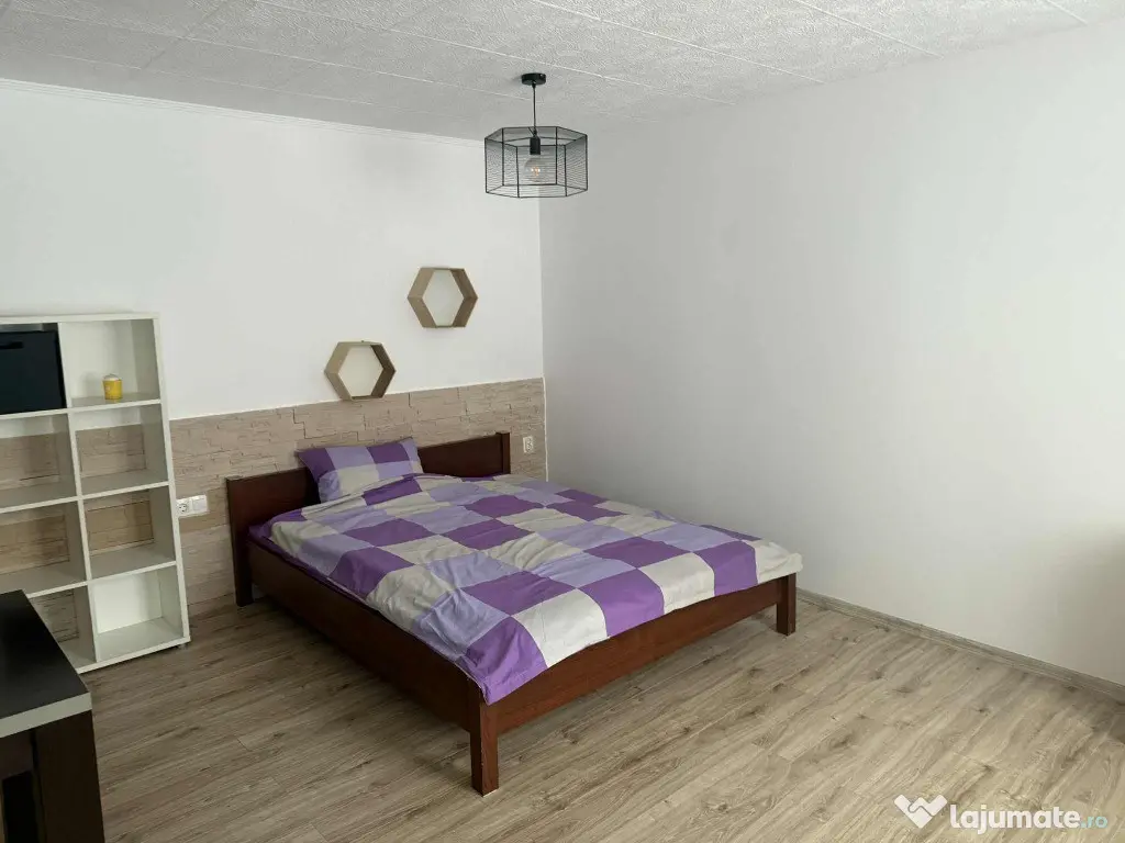 Apartament 1 camera Centru 