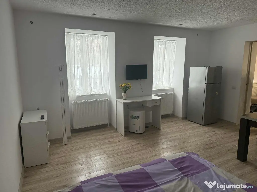 Apartament 1 camera Centru 