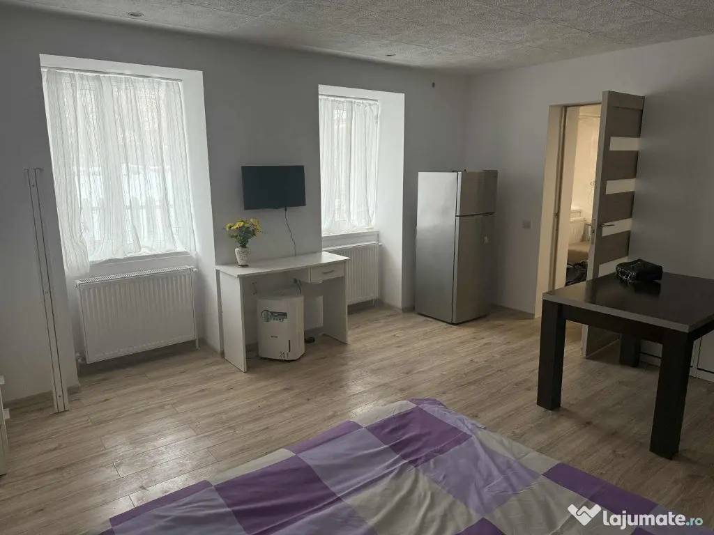 Apartament 1 camera Centru 