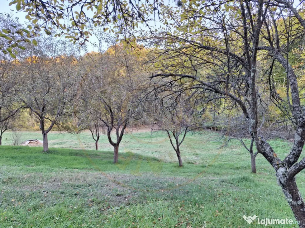 Teren 600mp intravilan - Balotesti 