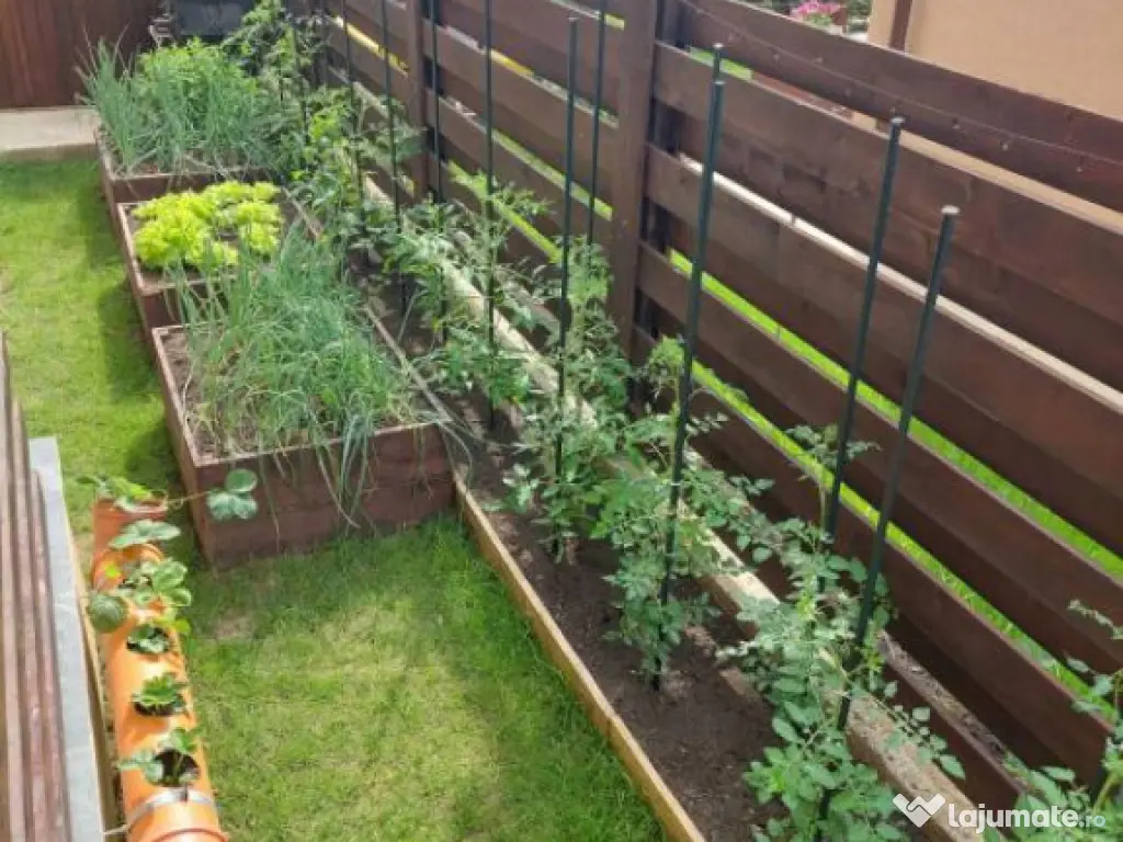 Casa 4C Valea Lupului-Iași 