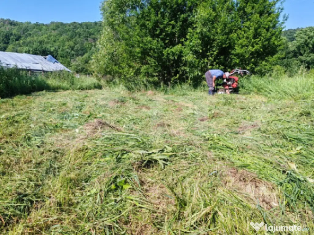 Teren intravilan, 1049 mp – Cobia, sat Mislea – ieșire