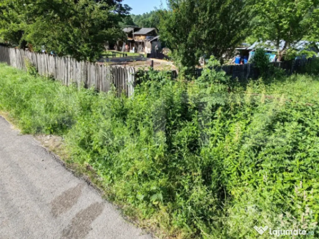 Teren intravilan, 1049 mp – Cobia, sat Mislea – ieșire