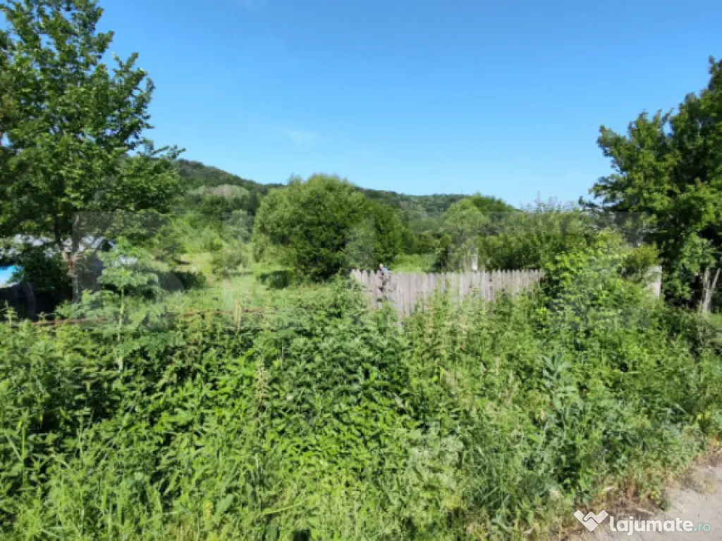 Teren intravilan, 1049 mp – Cobia, sat Mislea – ieșire