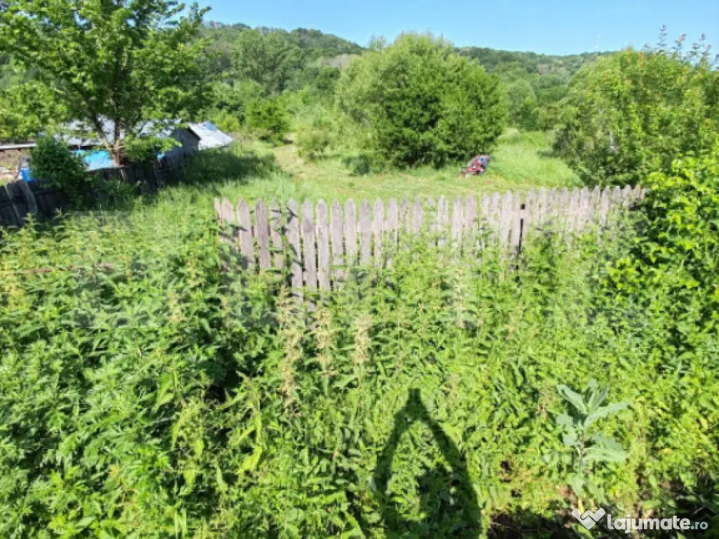 Teren intravilan, 1049 mp – Cobia, sat Mislea – ieșire