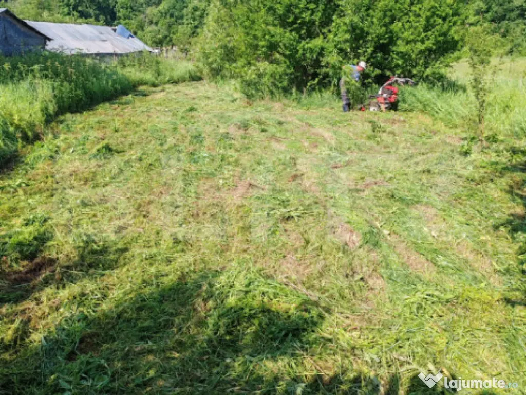 Teren intravilan, 1049 mp – Cobia, sat Mislea – ieșire