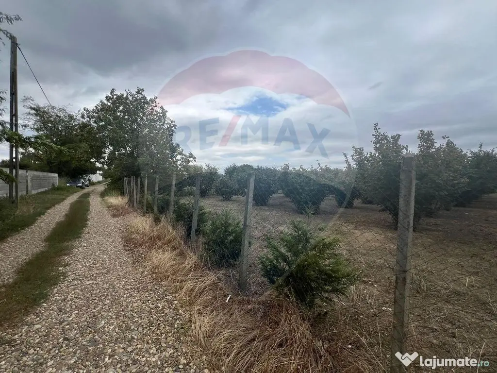 Teren 1300mp Campineanca / Intrare din Strada Hotarului 