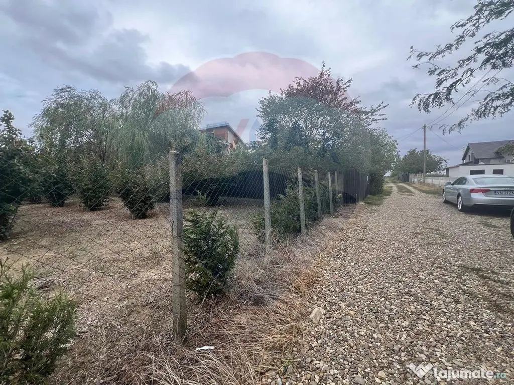 Teren 1300mp Campineanca / Intrare din Strada Hotarului 