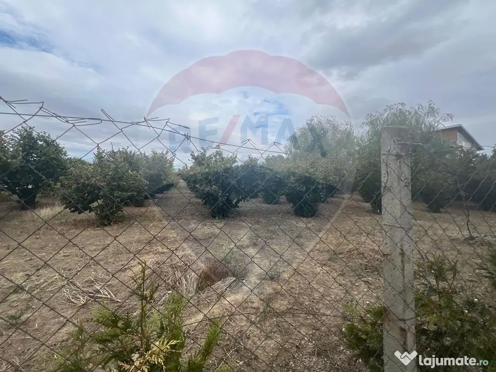 Teren 1300mp Campineanca / Intrare din Strada Hotarului 