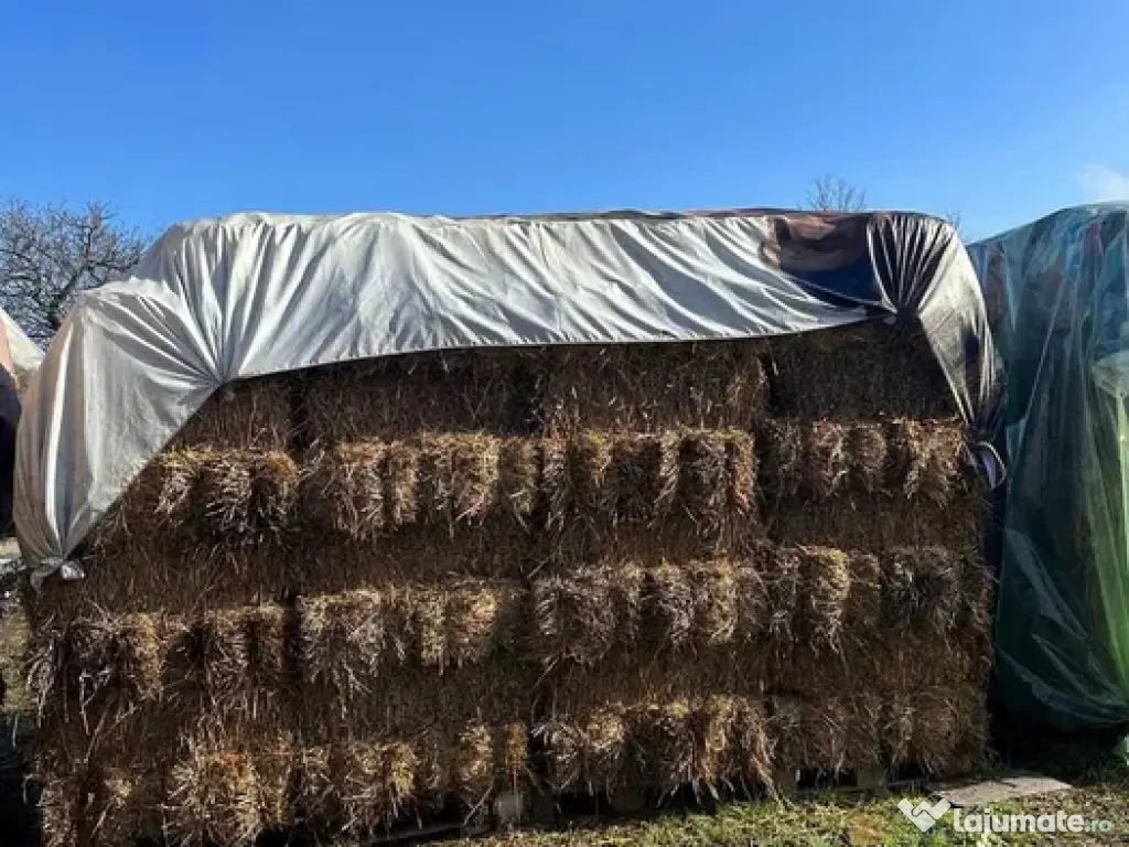 Baloți fân și lucernă