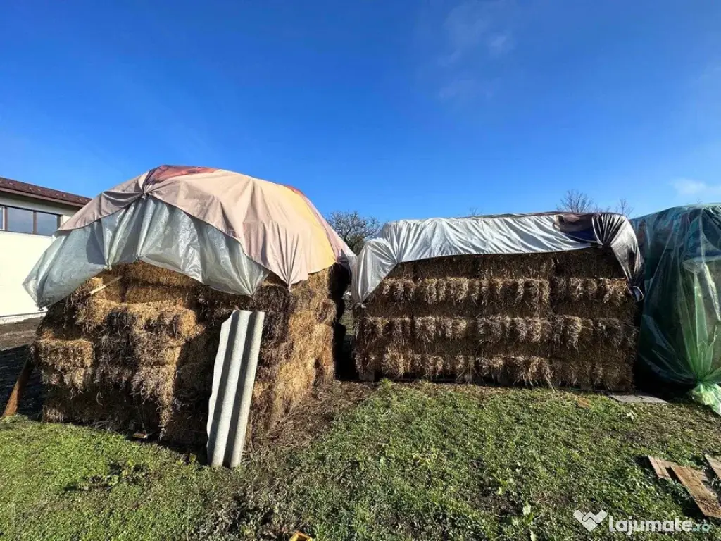 Baloți fân și lucernă