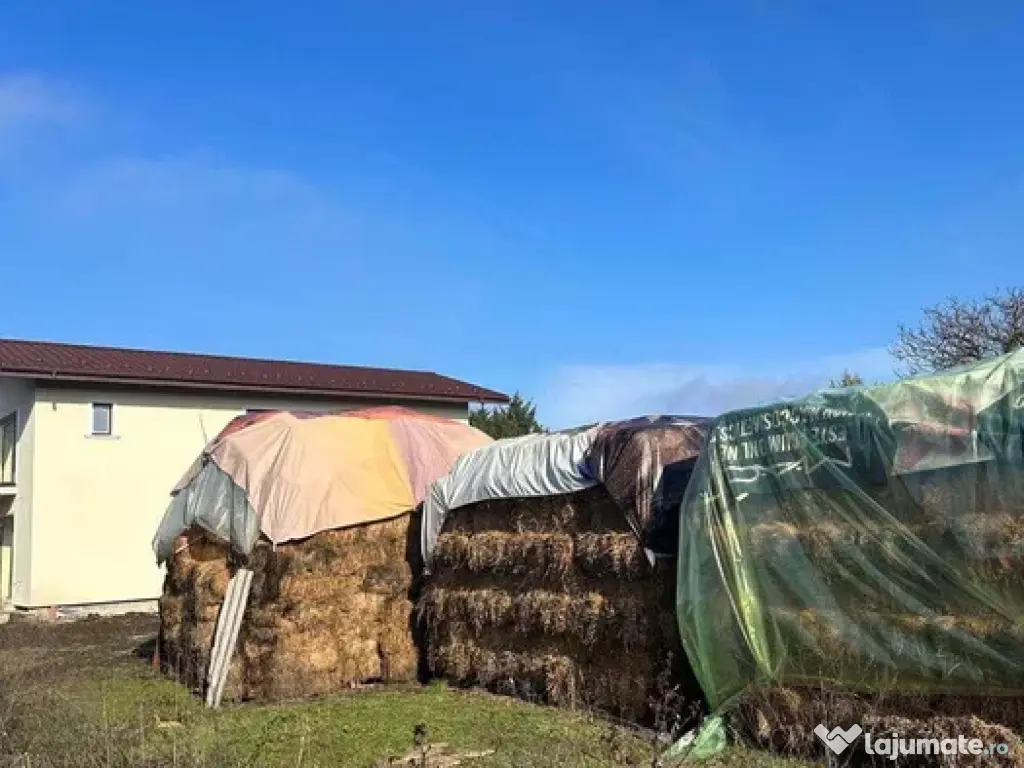 Baloți fân și lucernă