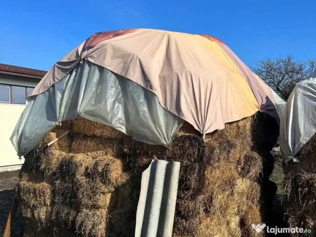 Baloți fân și lucernă