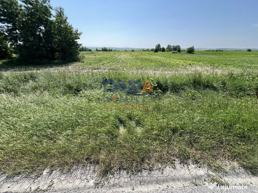 Teren 9969 mp, situat la E85, între două intrări pe au...