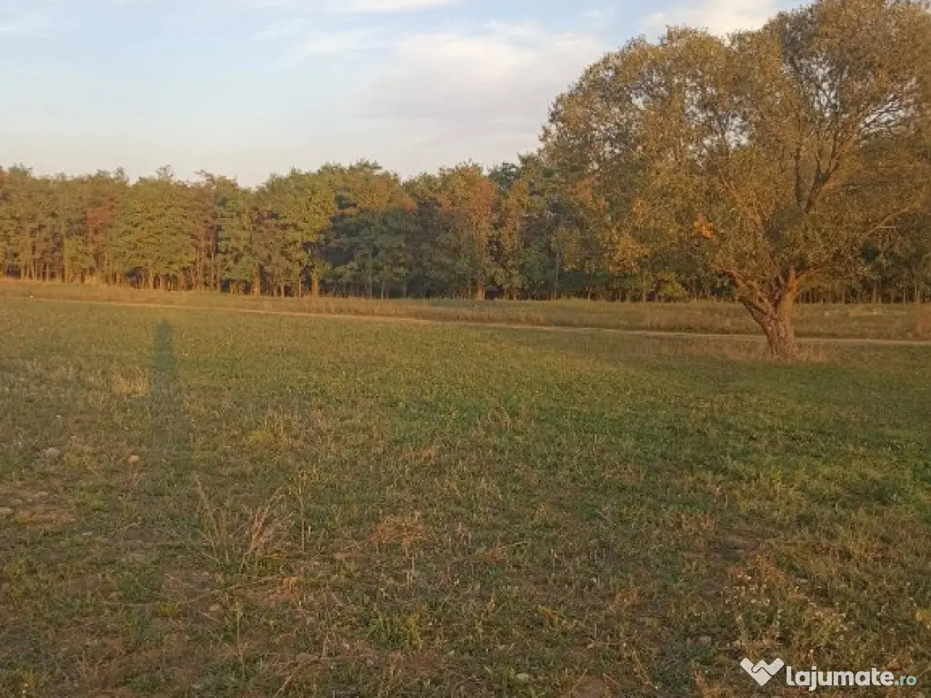 De vânzare teren extravilan langa Arcus