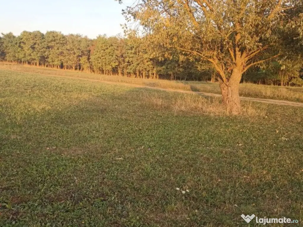 De vânzare teren extravilan langa Arcus