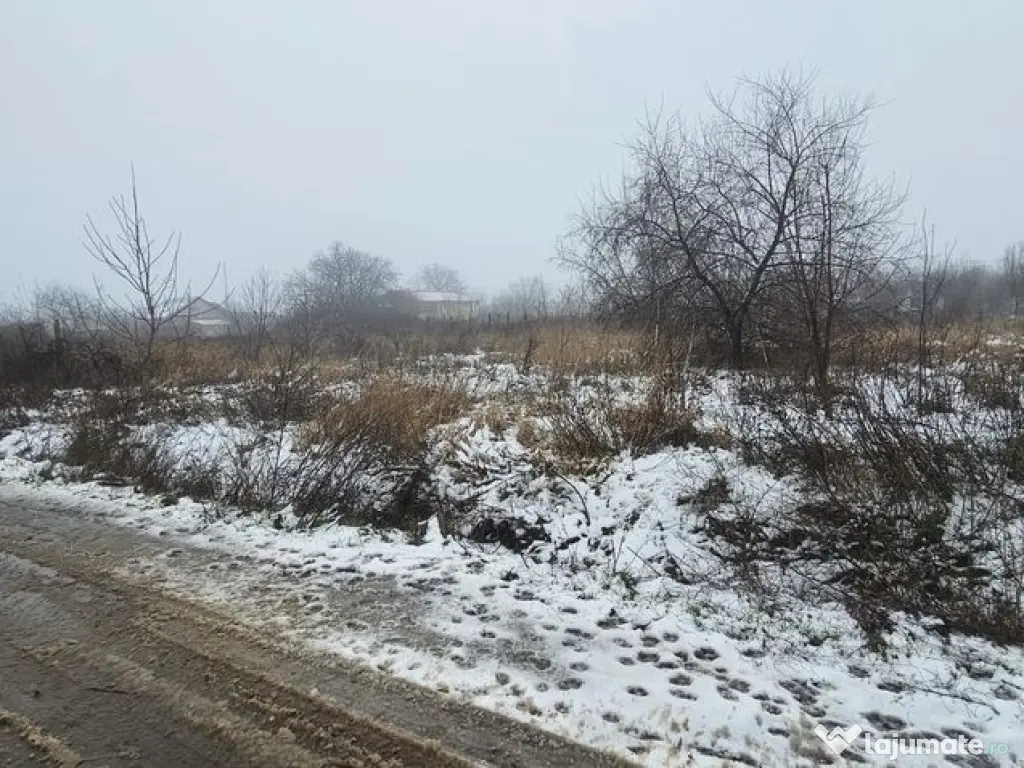 Exclusivitate MAG Invest – Teren 2300 mp Vanatori, idea...