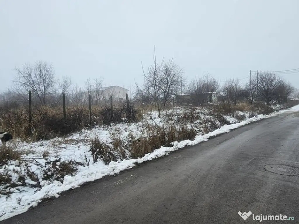 Exclusivitate MAG Invest – Teren 2300 mp Vanatori, idea...