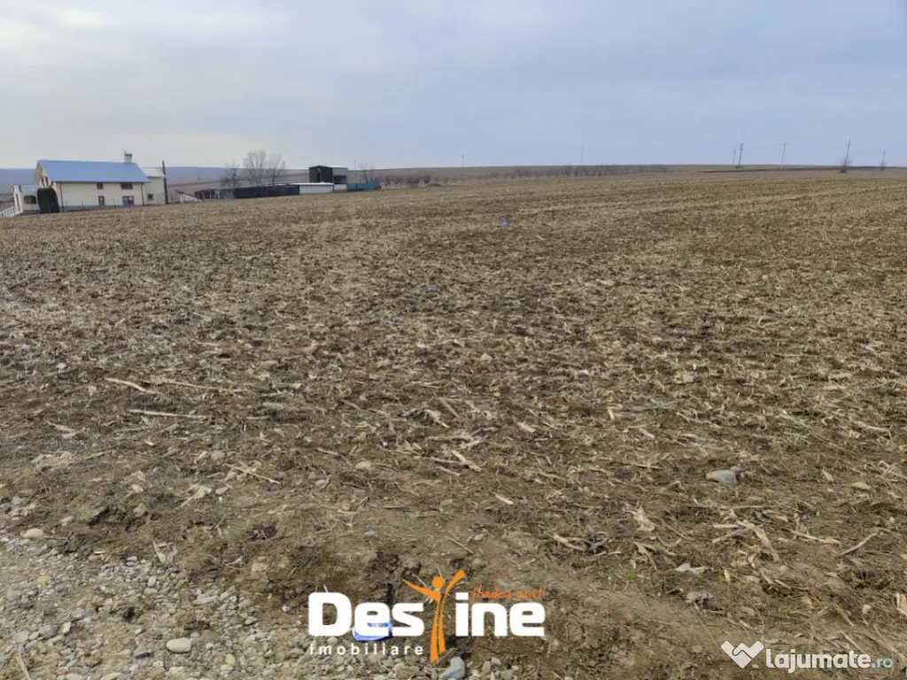 Comision 0% - Teren Primarie Dumesti, 8100 mp, front 13 ml, 