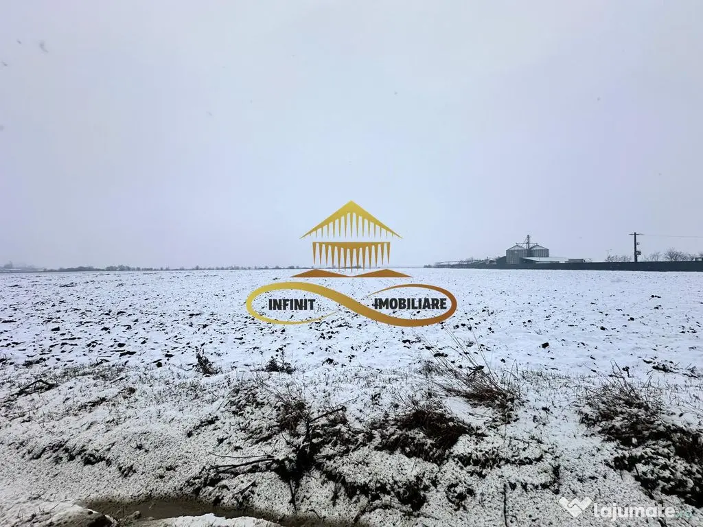 Teren de vanzare Schineni Saucesti 