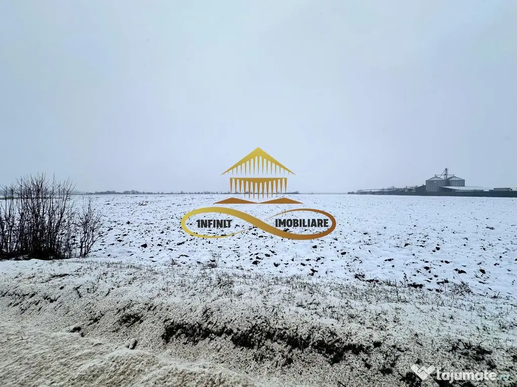 Teren de vanzare Schineni Saucesti 