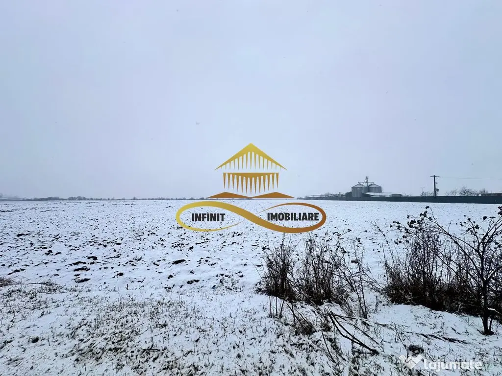 Teren de vanzare Schineni Saucesti 