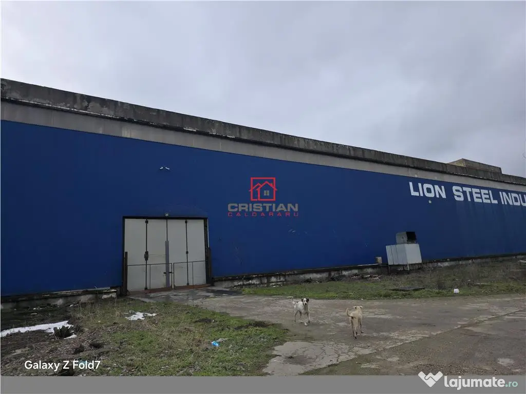 Spatiu industrial/hala/depozit Giurgiu - Port, Giurgiu