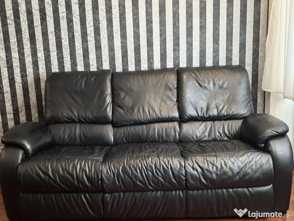 Canapea din piele naturala 