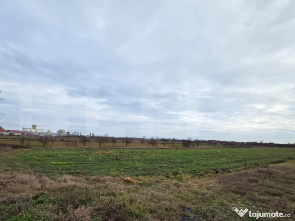 Teren extravilan de vanzare cu utilitati, 5900mp, zona Closc