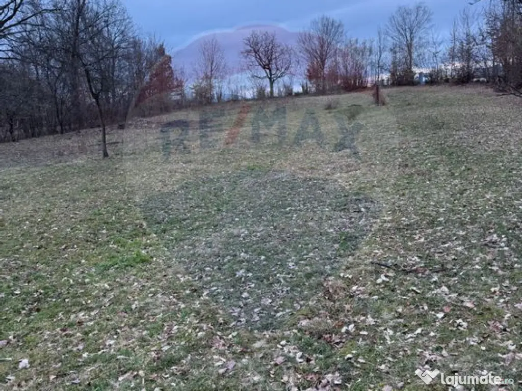 Teren intravilan cu priveliste de vanzare in Rus 