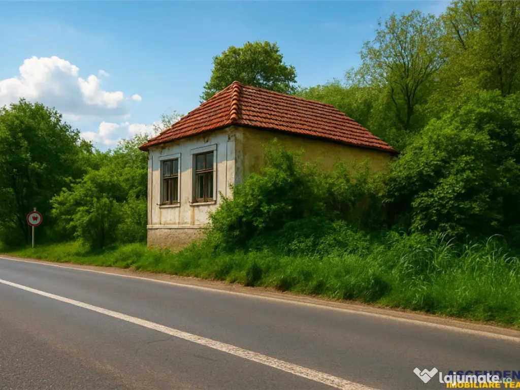 Domeniu verde autentic, 5.000mp, front la DJ, Valcele, Bra