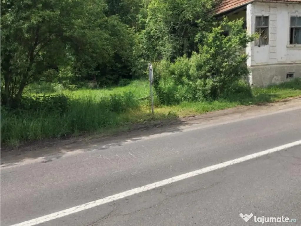 Domeniu verde autentic, 5.000mp, front la DJ, Valcele, Bra