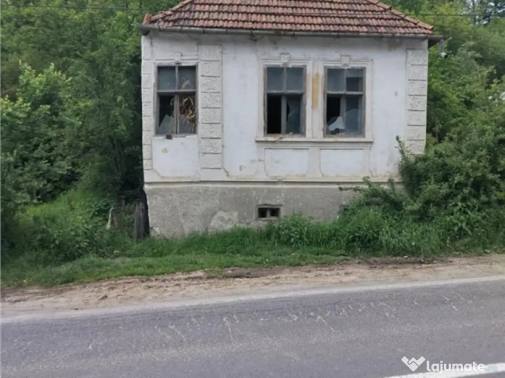 Domeniu verde autentic, 5.000mp, front la DJ, Valcele, Bra