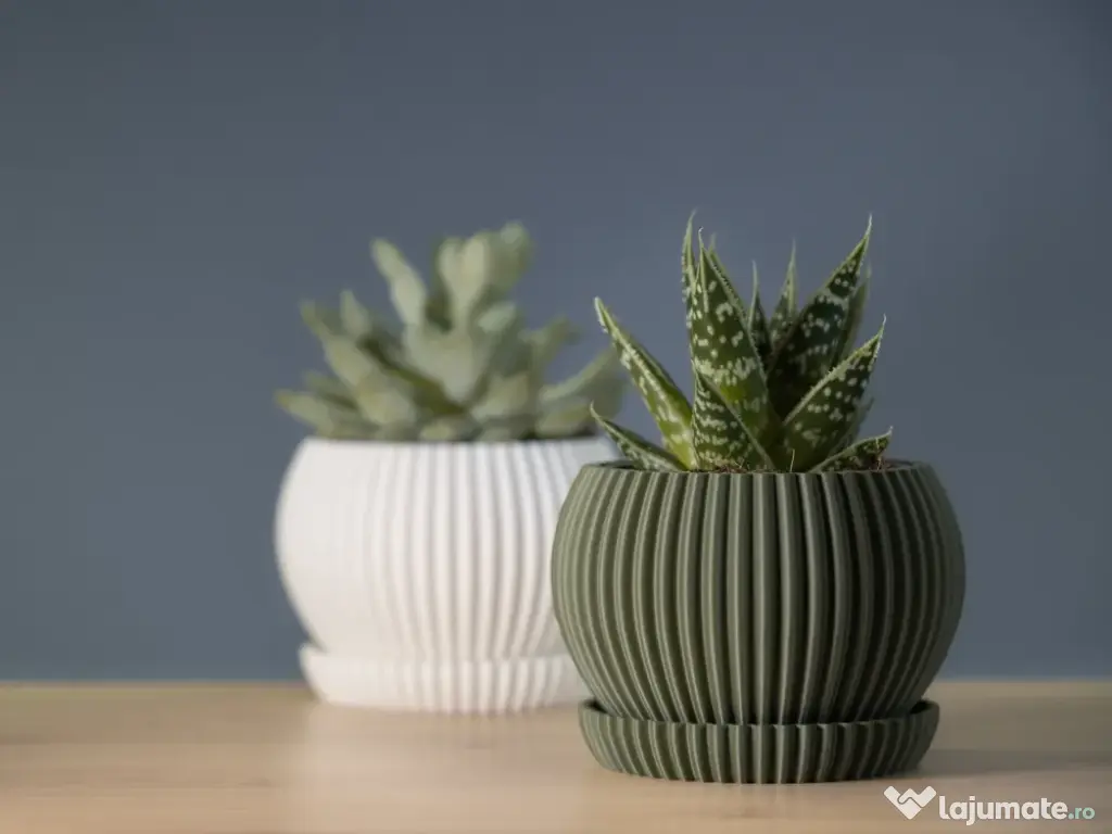 Mini ghiveci de birou 