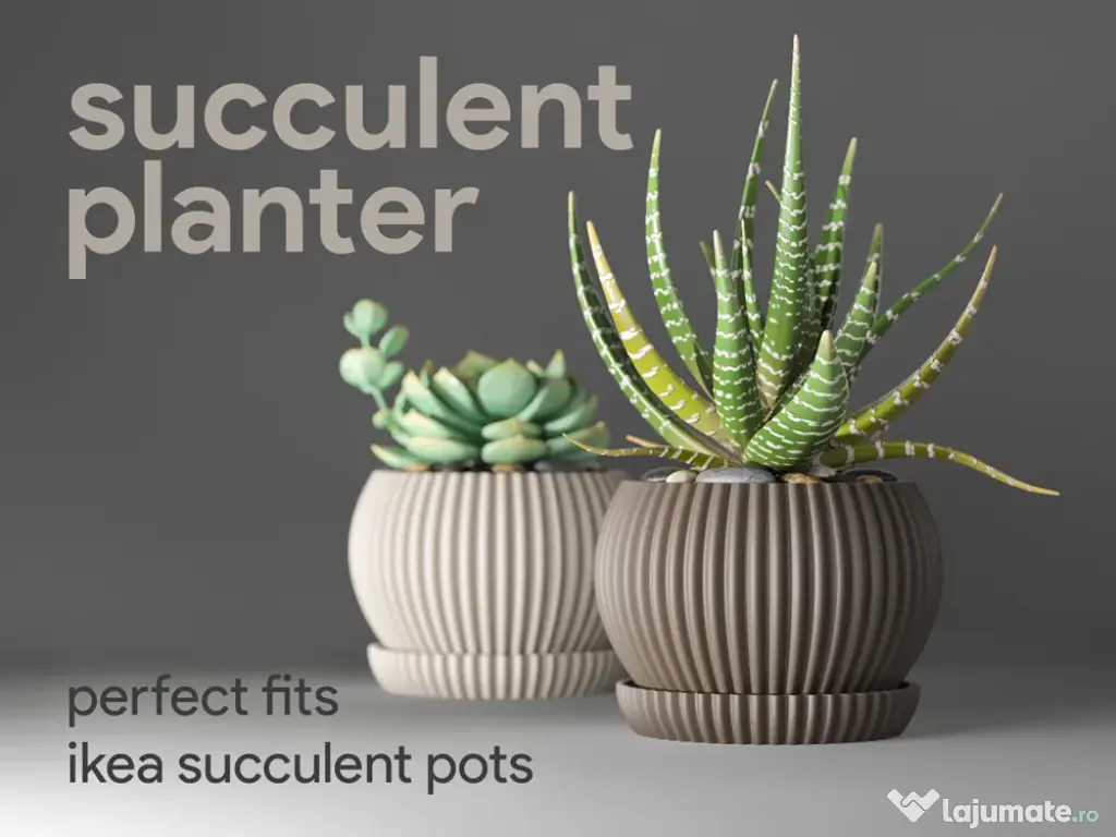 Mini ghiveci de birou 