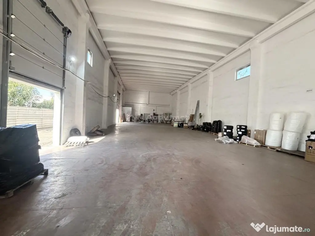 Hala 700 mp - teren 3998 mp - Nufarul