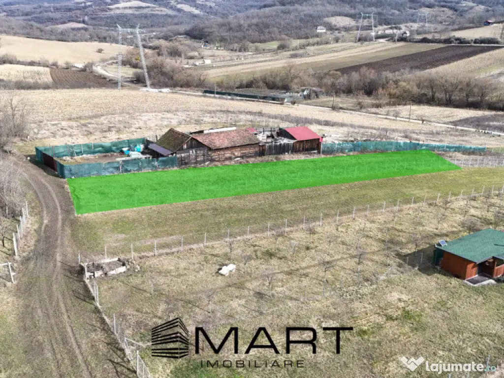 Teren intravilan 10.000mp strada Zadei Gusterita 