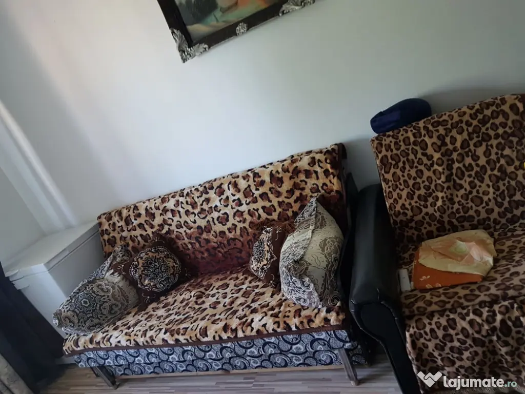 Predau contract cameră de cămin 