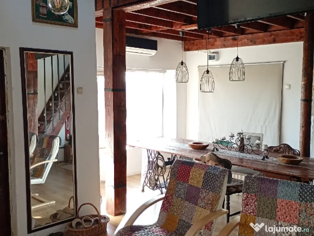 Domeniu cu case și 2,4 hectare intravilan. 