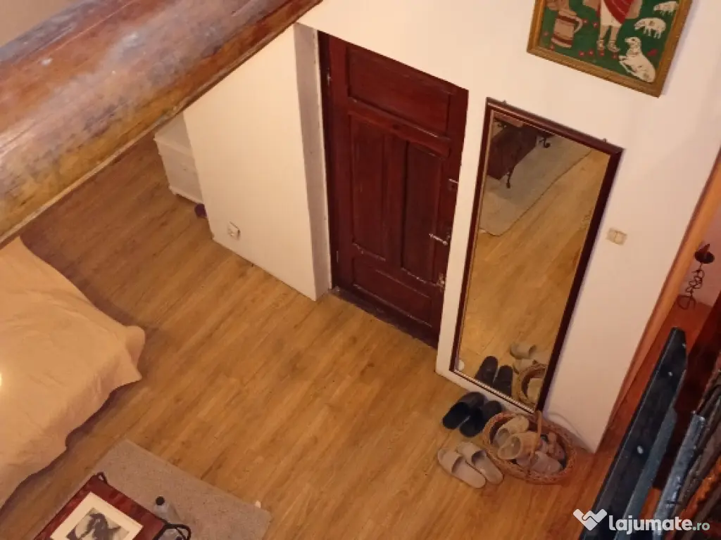 Domeniu cu case și 2,4 hectare intravilan. 