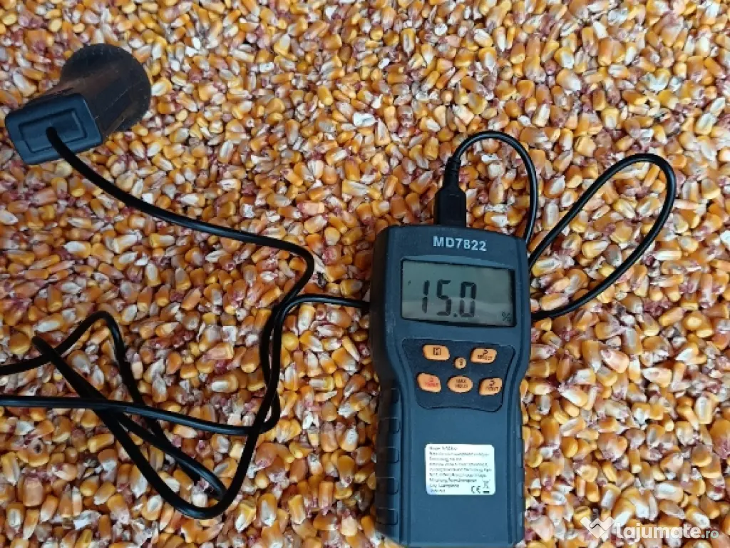 Graunte boabe de porumb 