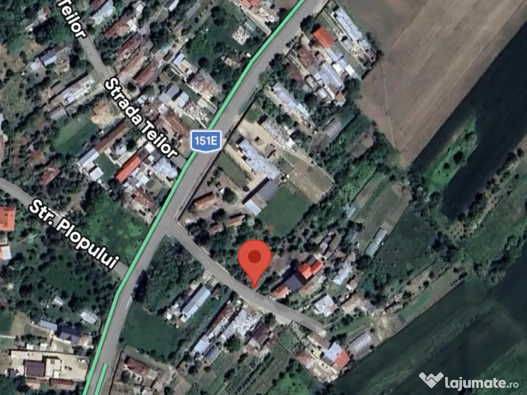 Teren, 7470 mp Trestieni Ulmi si casa 