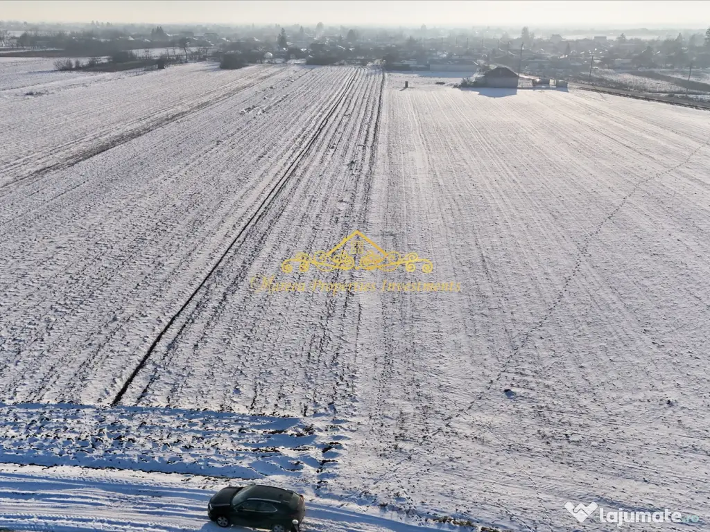 Teren, 7470 mp Trestieni Ulmi si casa 