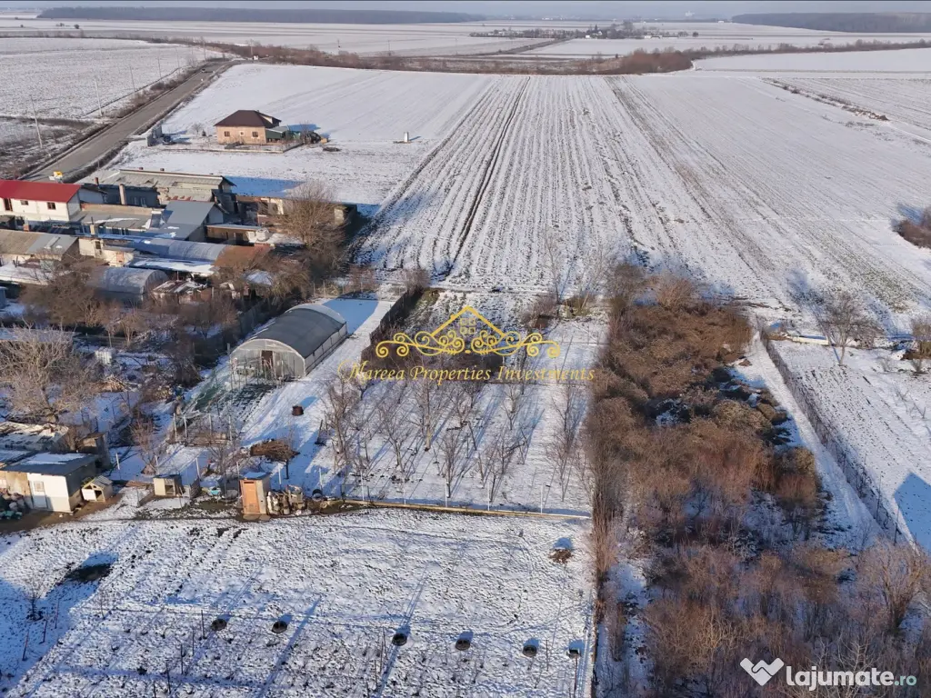 Teren, 7470 mp Trestieni Ulmi si casa 