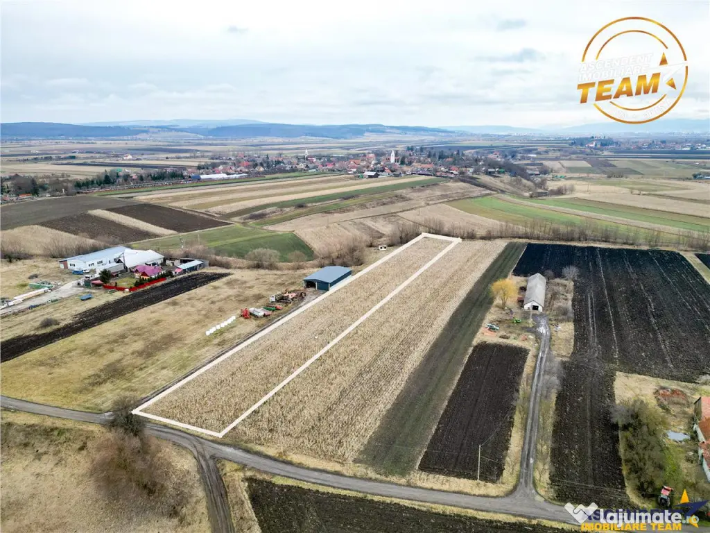 Film! Teren de 5.800 mp, Dobolii de Jos, Covasna